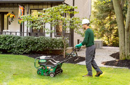 Aerating Lawn 2019