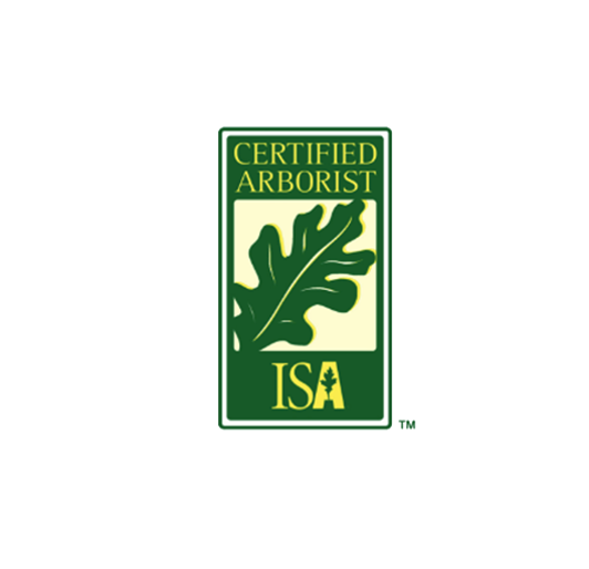 https://www.isa-arbor.com/Credentials/Types-of-Credentials/ISA-Certified-Arborist