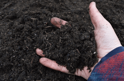 Soil Preparation Steps